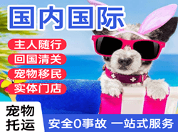 巴彦淖尔天吉泰机场邮寄国际宠物托运 【国